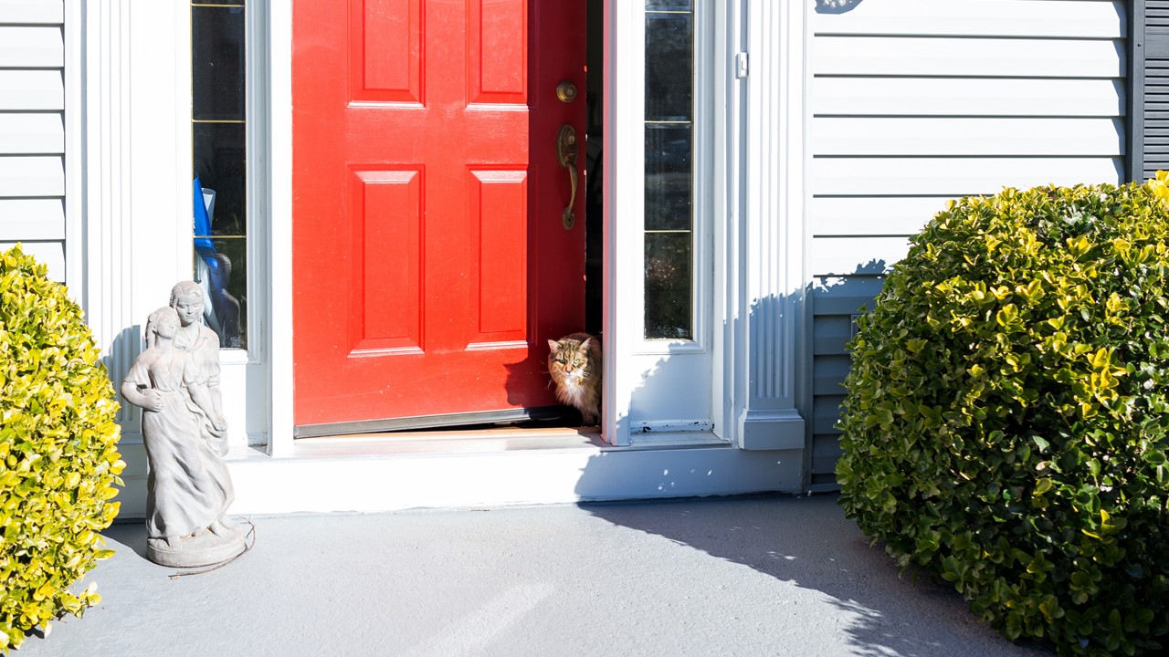 Home Delivery Stratford Global Pet Foods